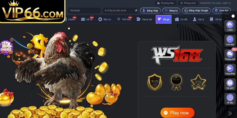 Ưu điểm tại sảnh đá gà Vip66 thu hút đông đảo người chơi hiện nay